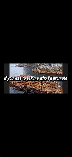 ai vs nature