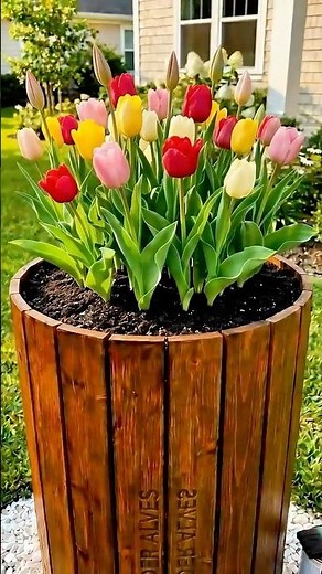 You Can Turn Old Tires and Wood Into a Beautiful Plant Pot 🌹🪴🌿