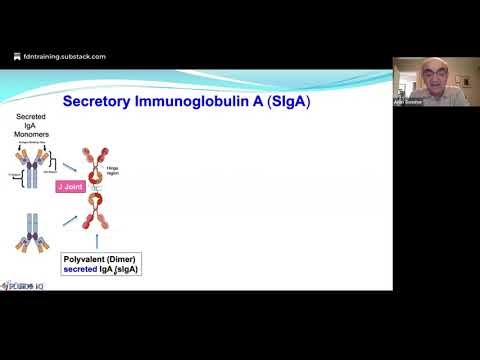 Lab & Learn Ep. 6: The "Domino Effect" of Sex Hormones—Gut, Stress, & Metabolic Chaos