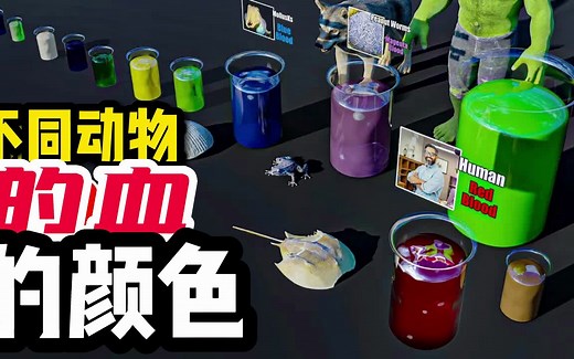 不同动物的血是什么颜色
