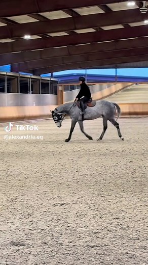 Mastering the Sitting Trot: Tips for Riders