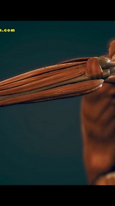 La energía tiene dos propiedades fundamentales: Ni se crea ni se destruye, se transforma. Y la otra es que debido al estado de excitabilidad de los electrones en los átomos, estos están girando alrededor del núcleo en órbitas y continuamente saltan de una órbita a otra. Si es una órbita más próxima al núcleo liberan energía en forma de fotón. Y si se alejan absorben energía en forma de fotón. Hay un continuo intercambio. La energía está en continuo estado vibratorio. Se propaga a través de ondas