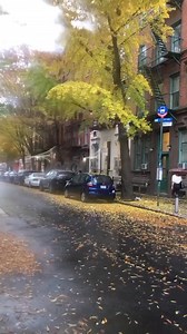 West Village, New York 🏡🍁🌧💕🌿🇺🇸🗽 | New York Today