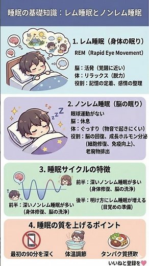 あなたの眠りは大丈夫？成長ホルモンを味方にする「黄金の90分」活用術｜記憶力・肌・免疫を最大化する科学的睡眠ガイド