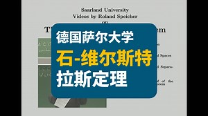 【德国萨尔大学】石 维尔斯特拉斯定理 | Stone Weierstrass Theorem