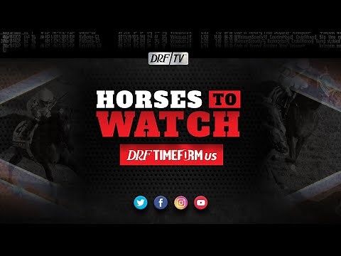 DRF Horses to Watch | March 16, 2022