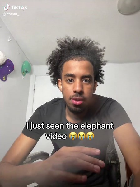 Emotional Elephant Video Reaction on Instagram Reels
