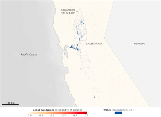 Satellite Data Helps Migrating Birds - NASA Science