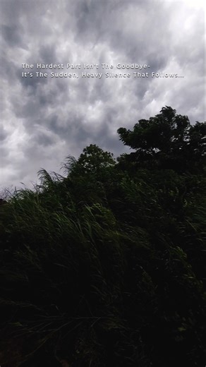 You will survive this chaos. 🤍 #shorts #viralshorts #healingjourney #innerpeace