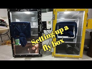 setting up a fly box for live food for finches