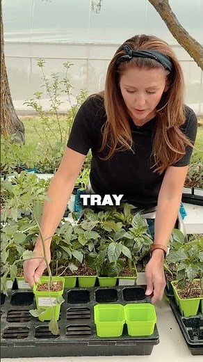 Bootstrap Farmer’s Game Changer: One Tray, All Crops
