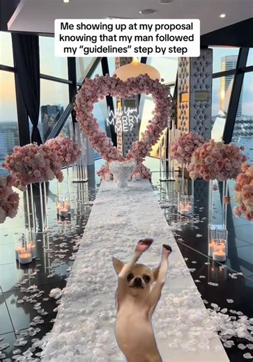 A win is a win 🥰 #proposal #meme #Meme #MemeCut