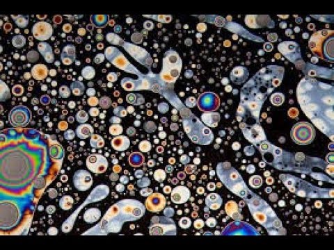 Tiny World Revealed.. Compound Microscope in Action