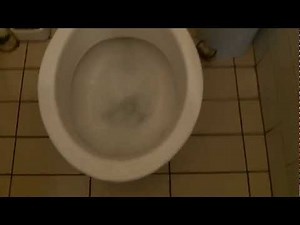 Two high level cistern on Geberit big push button and Villeroy&Bosh toilet bowl