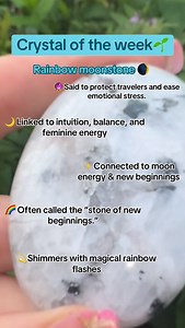 Rainbow Moonstone is often called the stone of intuition, balance, and new beginnings. ✨ With its magical flashes of rainbow light, it’s believed to protect your energy, awaken inner wisdom, and guide you through change with ease. 🌌 It’s a favorite for dreamwork, emotional healing, and connecting with moon energy. 🌙💎 #RainbowMoonstone #CrystalTok #HealingCrystals #CrystalEnergy #CrystalMagic #SpiritualJourney #GoodVibesOnly | The Psychic Tree