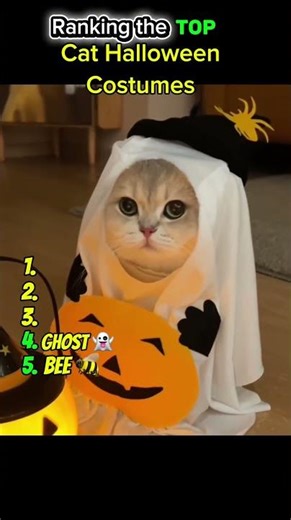 Ranked the CUTEST Cat Halloween Costumes Ever (You Won’t Agree With #1) #catman