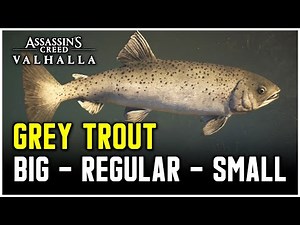 Assassin's Creed Valhalla - Grey Trout Fish Locations (Big - Regular - Small)