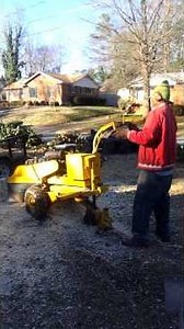 Tarzan Tree Service Charlotte NC