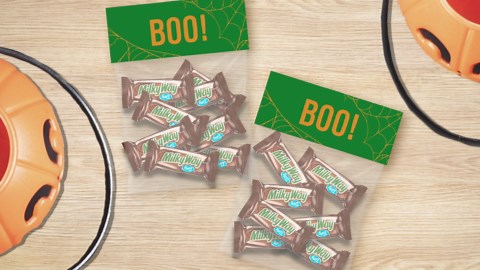 (2 pack) Milky Way Fun Size Halloween Chocolate Candy Bars - 10.65oz Bag
