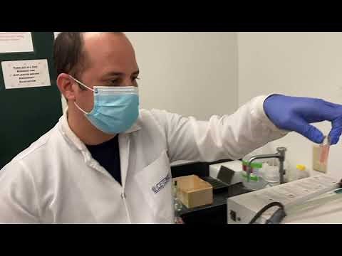 Absorption Spectra of Conjugated Dyes - Experiment