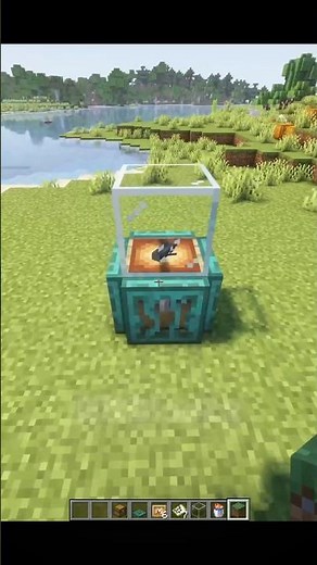 I Built a Beautiful Fish Tank in Minecraft! 🐠🪸