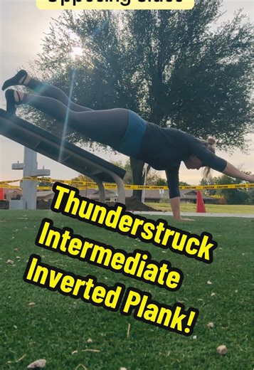 Inverted Plank Intermediate! Single arm/leg & then single legs, pike, hand walks and push ups. Master single level plank before progressing this is an intermediate exercise! Most important is to hold plank solid. If not able do that do NOT do any add ons. This was my forth plank series for today. Pilates day so it’s a good fatigue. #planks #ballet #dance #pilates #acdc