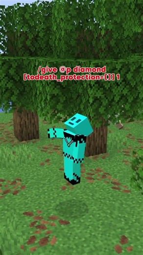 This Minecraft Command Is Too OP