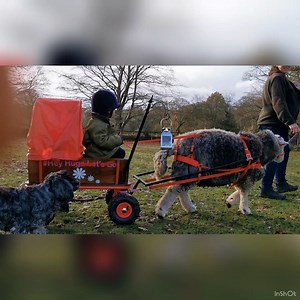 284K views · 4.3K shares | Out of all the skills that a child can...