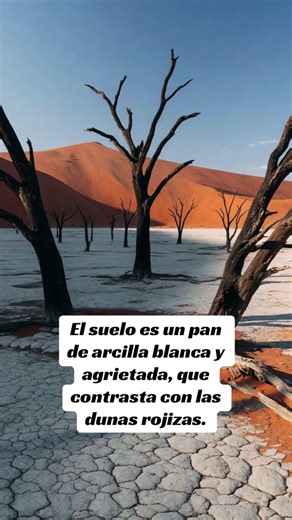 Deadvlei: El Silencio del Tiempo