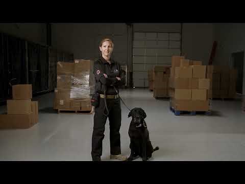 Allied Universal Enhanced Protection Services