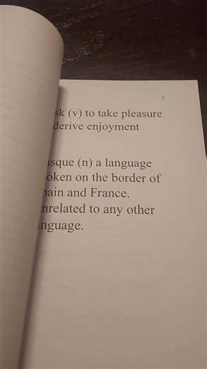 Basque-ing in Language Learning: Field Edition