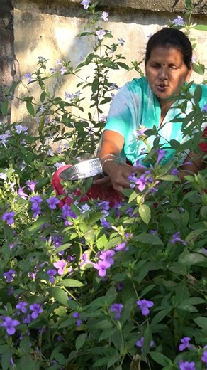 AMMA ALAPARAIGAL 😂❤️• |SUMMA EDUTHAN😂🤣!!| #shorts #comedy #love