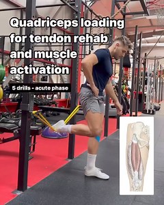 4.9K views · 72 reactions | Quadriceps loading for tendon rehab and...