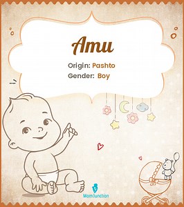 Amu Name Meaning, Origin, History, And Popularity