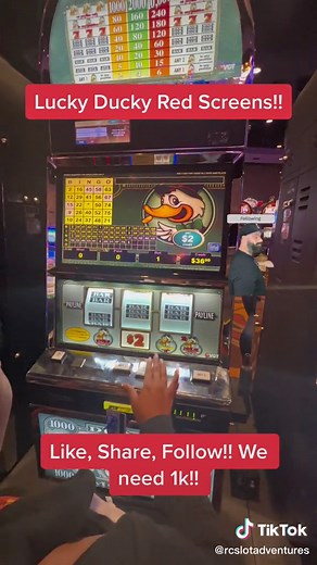 Lucky Ducky Red Screen Wins on Slot Machine