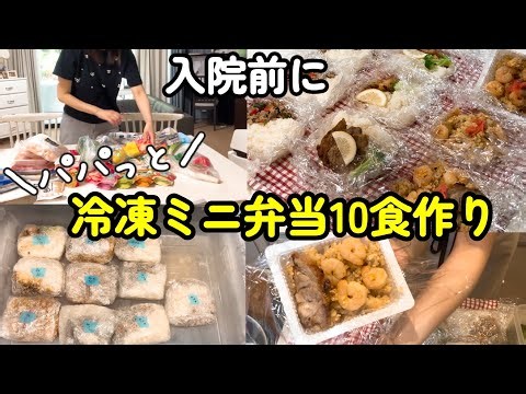 【入院前】家族の為に冷凍ミニ弁当10食！食材まとめ買いして一気に作り置き