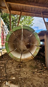 Création de nos lattes bambou en Guadua Angustifolia, le roi des bambous de Colombie. Un peu de notre savoir faire pour obtenir des lattes droites et régulières, qui seront utilisées sur des structures courbes, ou pour de l’habillage. **BAMBOO, WE LOVE YOU** #bamboodesign #guaduabamboo #coupebambou #bamboureunion #reunionisland #savoirfairelocal #bambooslats #lattesbambou #artisanatreunionnais | BambooDeck&Pergolas