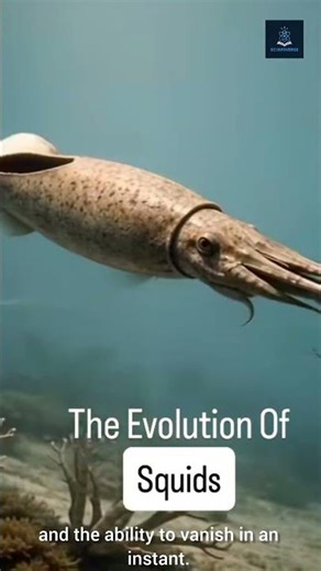 Evolution of Squids!