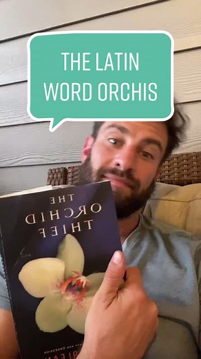 Fascinating Orchid Facts: Latin to English Translation Revealed!