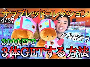It's finally here!! The new Thoroughbred Collection Haru Urara!! How to get 3 for 3000 yen!