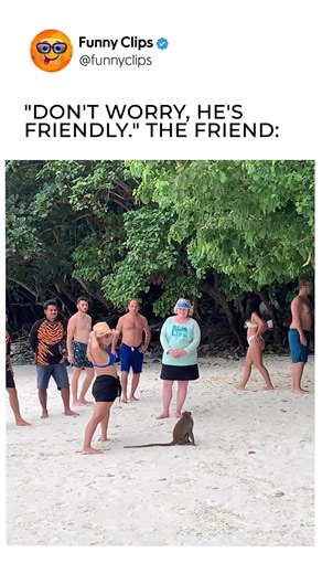 Woman gets owned by monkey | Funny Clips