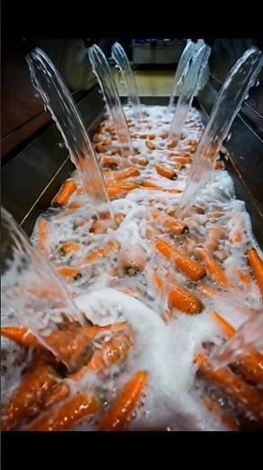Carrot Factory Process #factoryprocess #productionfacility