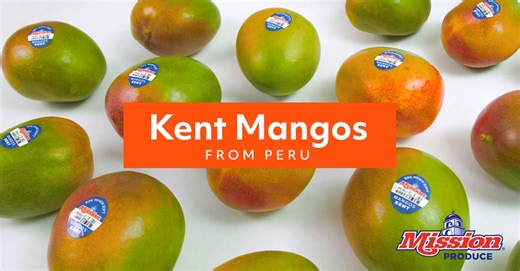 ✨ It’s Kent Mango season and Peru is delivering the best of the best. From sweet, juicy flavor and fiberless texture to careful hand-harvesting, packing at origin, and custom ripening, Mission’s Peruvian Kent Mangos are grown and handled to deliver a premium eating experience from field to shelf. Watch to see what makes Kent Mangos the World’s Finest Mangos™ and how we can help you deliver quality your shoppers come back for! #MissionProduce #KentMangos #Mangos #PeuvianMangos #WorldsFinestMangos