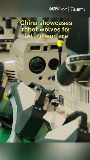 China showcases robot wolves for future warfare