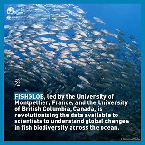 How can #OceanData support climate adaptation? As part of the #OceanDecade, scientists harness ocean data to predict the impact of climate change on the ocean and on the communities who depend on it—from fish biodiversity to extreme weather events: https://ow.ly/sU7K50XtYAy | United Nations Department of Economic and Social Affairs (DESA)