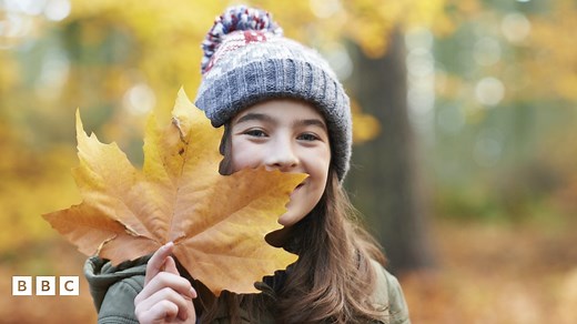 Why do leaves change colour in autumn?