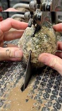 This cut GEODE is Full of Crysals!