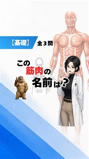 【基礎解剖学】全３問