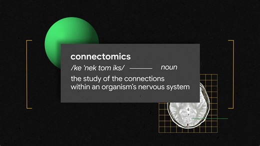 绘制大脑图谱 Mapping the Brain - Google Research