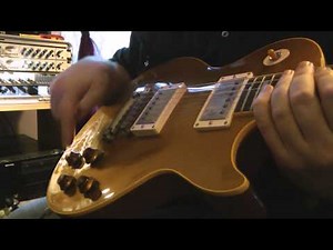 Paul Rose - Seymour Duncan "Pearly Gates" pickups.